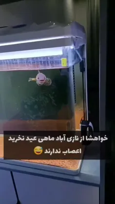 لطفا ماهی عیدتونو از نازی آباد نخر.ید 😅