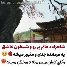 سریال : شاهزاده خانم بی خواب 