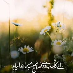 ایکاش