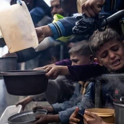 🔻شهادت ۲۰ فلسطینی بر اثر سوء تغذیه در نوار غزه