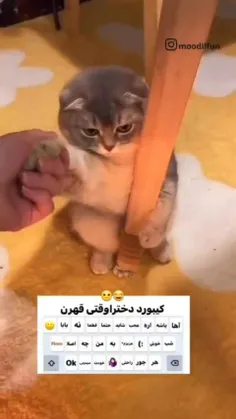 حققققققق تا ابد 