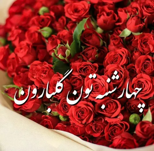 چهارشنبه تون گلباران🌹 🍃