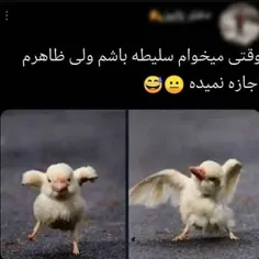 زیباح :)))