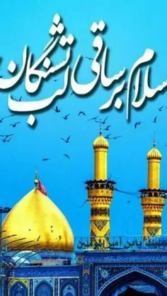 السلام علیک یا ابا عبداالله الحسین