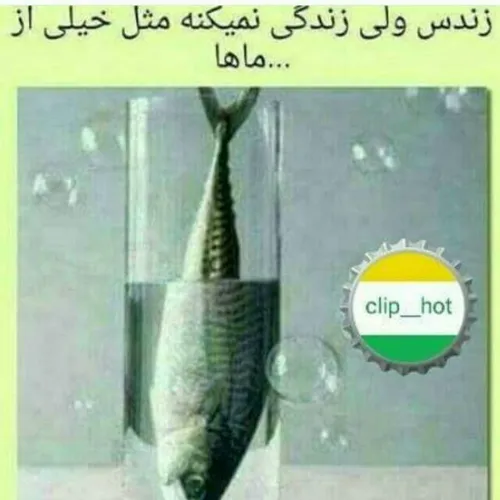 مثل من