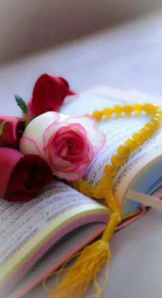 کسی که قرآن بخواند، دیر یا زود دعایی مستجاب دارد.