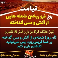 #قران #قرآن #قرآن_کریم #قران_کریم #القرآن #القران_الکریم 