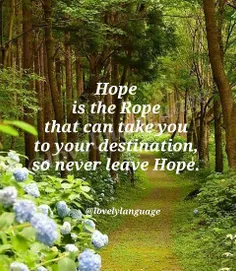 امید، طنابی است که می تواند تو را به مقصدت برساند، پس هرگ