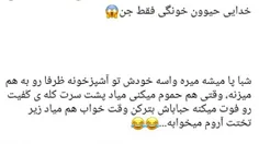 کیا حیوون خونگی میخوان😁