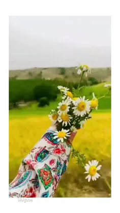 #رها☘ تفاوت آدمایی که سخت وارد رابطه میشن با بقیه آدما ای