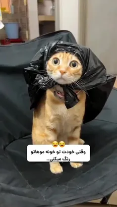 خودممم😂😂😂