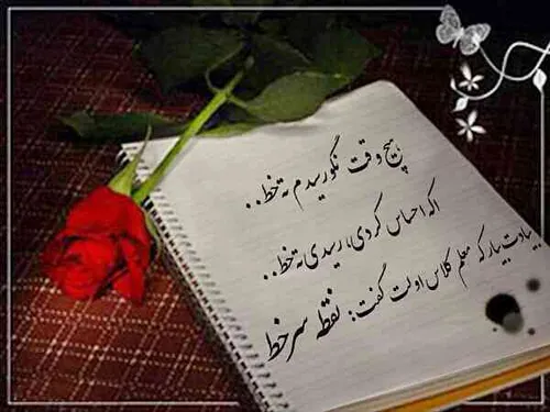 زندگی باید کرد