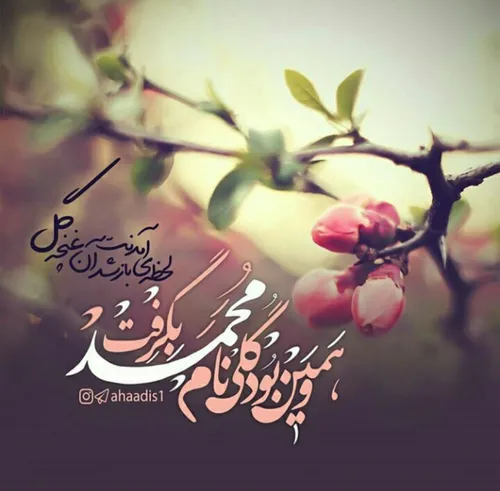 💙 درخلوٺ شب آمنہ زیبا پسرے زاد