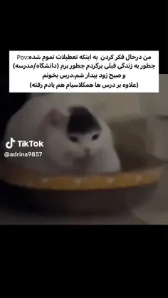 شهریور ۱۴۰۳ سی و یکم  ۲۴ ساعت تا مدارس