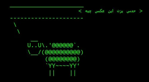 حدس بزن چیه؟؟