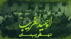 امام زمان در بیان امام علی علیهما السلام