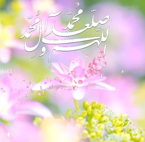 💚❤️💚🍃🌻🍃❤️🍃🌻🍃💚❤️💚