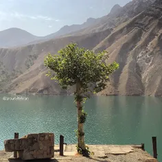 Lonesome tree is overlooking the reservoir at the Amirkab