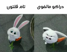 وای چه قدر راس میگه 😭😐😂