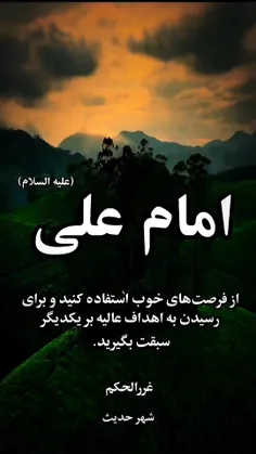 امام علی علیه السلام 