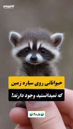 جالب و دیدنی 