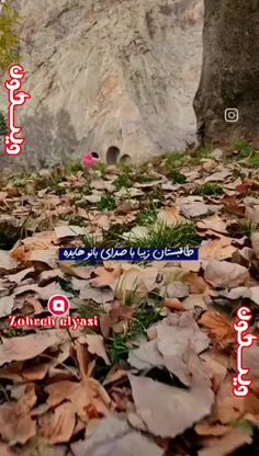 طاق بستان کرمانشاه؛ اقتدار کهن ایران زمین