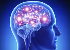 مغز انسان که فقط 2 درصد از وزن انسان را تشکیل می دهد، 25 
