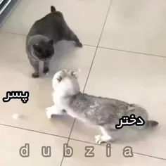 خانم شماره تو بدی 🤣🤣🤣🤣🤣🤣🤣🤣🤣🤣🤣🤣🤣🤣🤣🤣