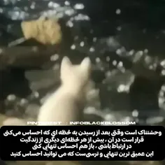 #تنهایی 