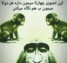 به چی نگا میکنی😂