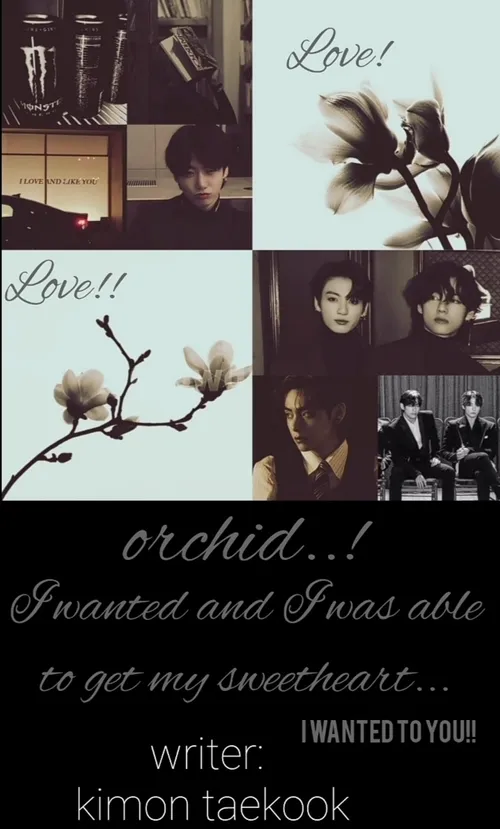 orchid p6(end)