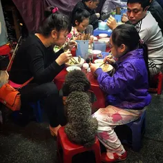 Members of a family having dinner with Pho, Vietnamese be