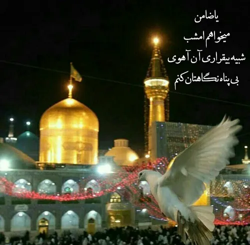 امشب که شب خجسته میلاد است🎉