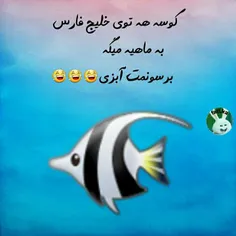 کوسه ها هم بیشعور شدن😅