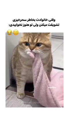 شماهم همینین 🤣