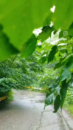 گاهی دلت می خواهد