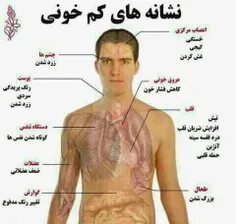 ب اشتراک بزارید .. کپی ازاد