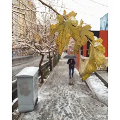 It's been snowing in #Tehran since last night. Karimkhan,