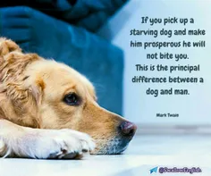 اگر شما یک سگ گرسنه را سیر کنید هرگز دست شما را گاز نخواه