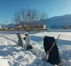 بله دارید آخوندا رو مشاهده میکنید درحالِ خوردن و بُردنِ م