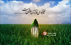 آقا جان تمام این سالها که درس خواندیم;