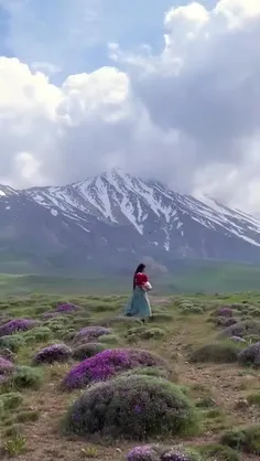 Majestic Damavand, Embraced by the Beauty of Spring 🌸