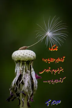 شخصی abramam 23283292