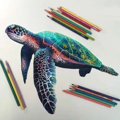 نقاشی ۳ بعدی با مداد رنگی