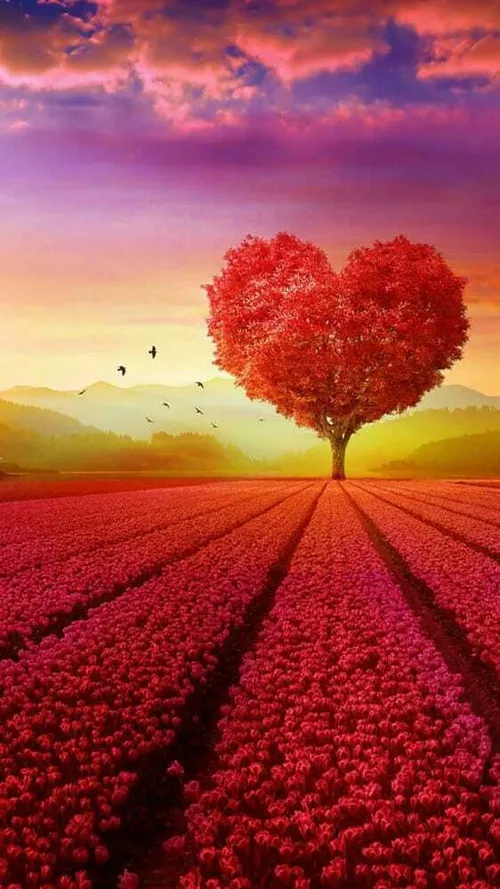 قلب عاشقانه رنگ قرمز