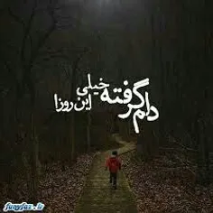 دلم گرفته از این روزای تکراری...