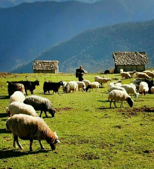 شهرستان سوادکوه استان مازندران