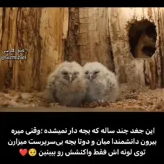 جغده: فداش بشم منه قربونش بشم منه بشه خودمه🥰