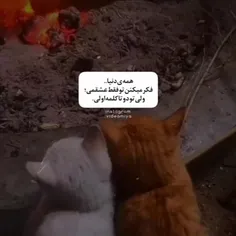 هی آرامش تو گیتی تفصیر این دو حرف است زدم به کارتت🤣🤣🤣🤣🤣🤣