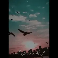 من چرا هئ درد میاد رو دردم هعی 🐾🔫